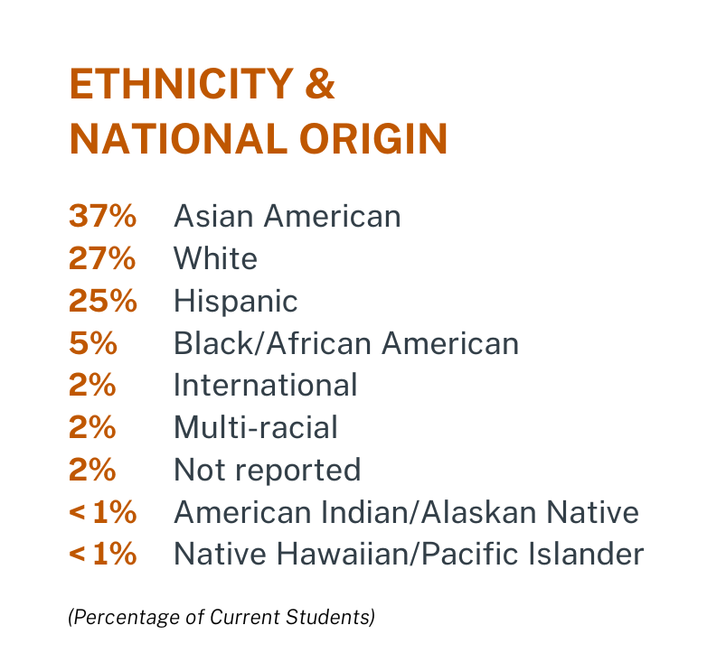 A graphic showing the IBS BBA Ethnicity & National Origin breakdown